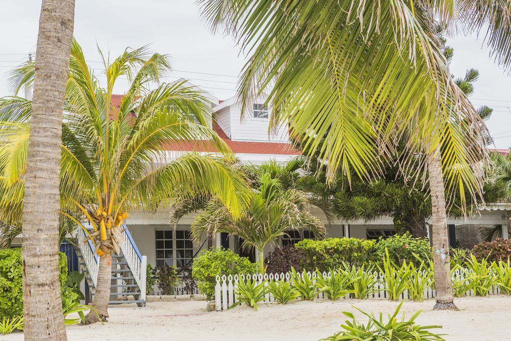 Casa Brisa Guest House San Pedro (Ambergris Caye) Exterior foto